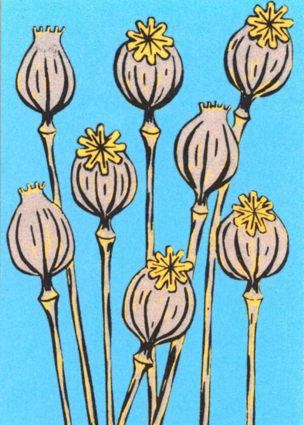 Poppy heads lino print card by Esther Rolls