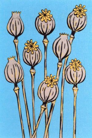 Poppy seed heads A5 art print by Esther Rolls