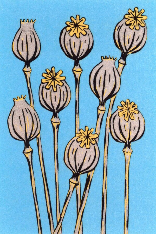 Poppy seed heads A5 art print by Esther Rolls