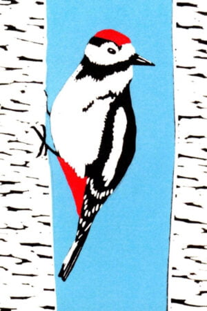Woodpecker A4 art print by Esther Rolls